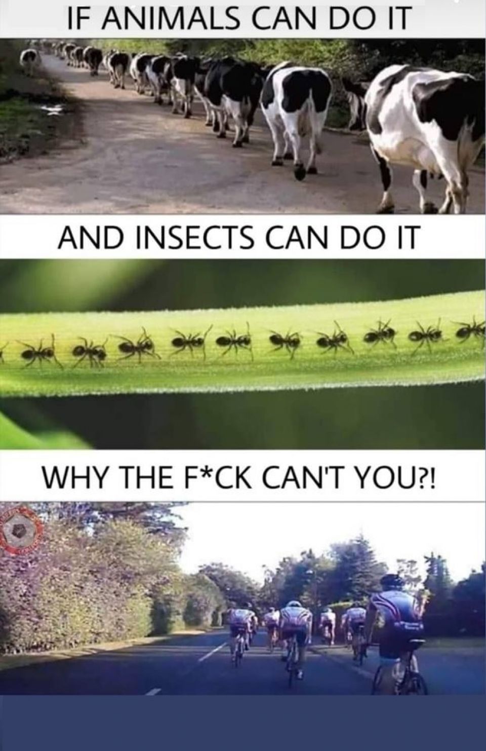 If animals can do it...