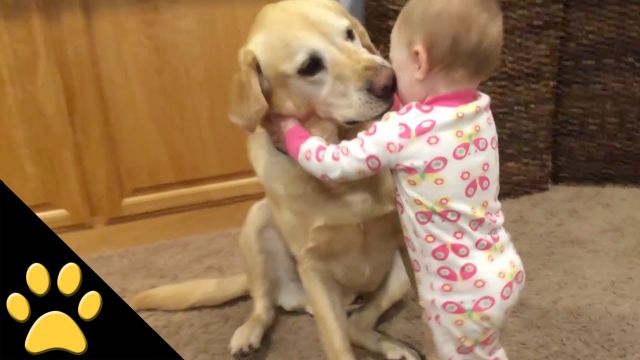 Cute Dogs And Adorable Babies